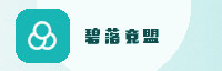 合作伙伴