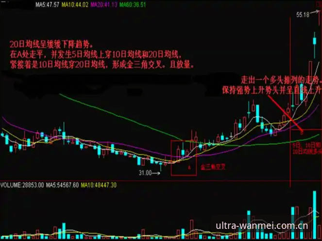 完美体育数据准确吗使用指南 完美体育数据准确吗?使用指南深度解析数据可靠性与实战技巧